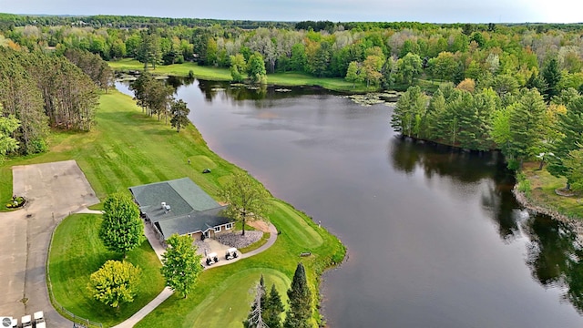 LOT14 White Pine Dr, Cadillac, MI 49601