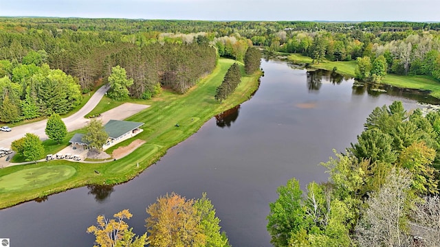LOT14 White Pine Dr, Cadillac, MI 49601
