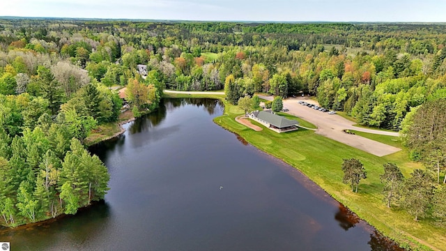 LOT14 White Pine Dr, Cadillac, MI 49601
