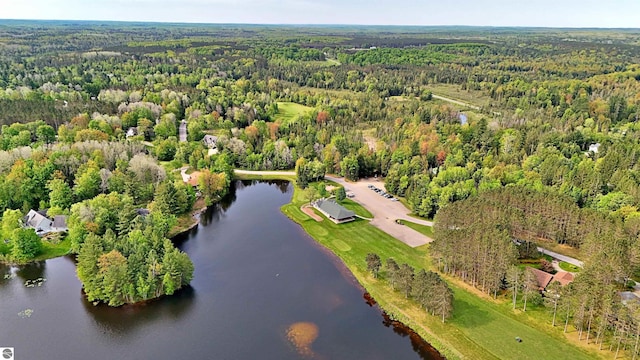 LOT14 White Pine Dr, Cadillac, MI 49601