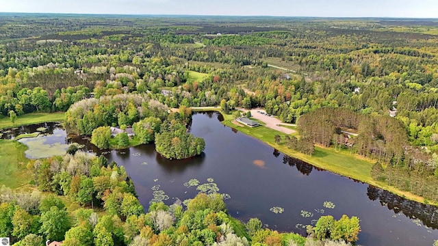 LOT14 White Pine Dr, Cadillac, MI 49601