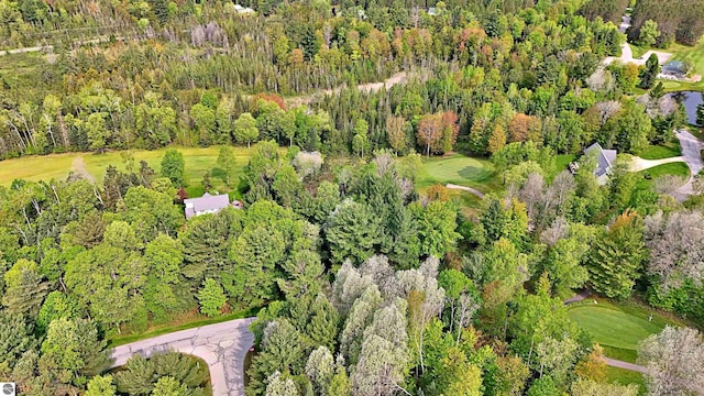 LOT14 White Pine Dr, Cadillac, MI 49601