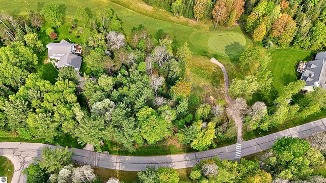 LOT14 White Pine Dr, Cadillac, MI 49601