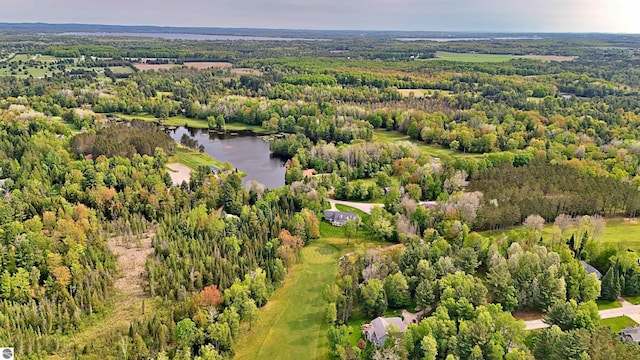LOT14 White Pine Dr, Cadillac, MI 49601