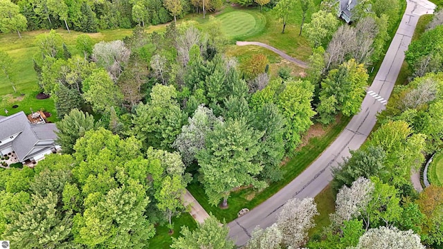LOT14 White Pine Dr, Cadillac, MI 49601