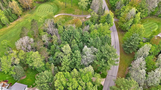 LOT14 White Pine Dr, Cadillac, MI 49601