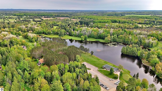 LOT14 White Pine Dr, Cadillac, MI 49601