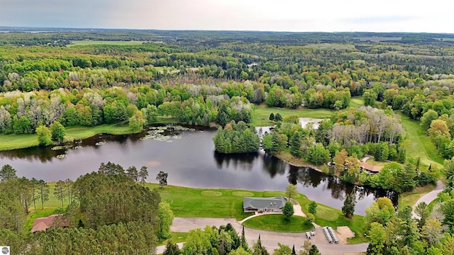 LOT14 White Pine Dr, Cadillac, MI 49601