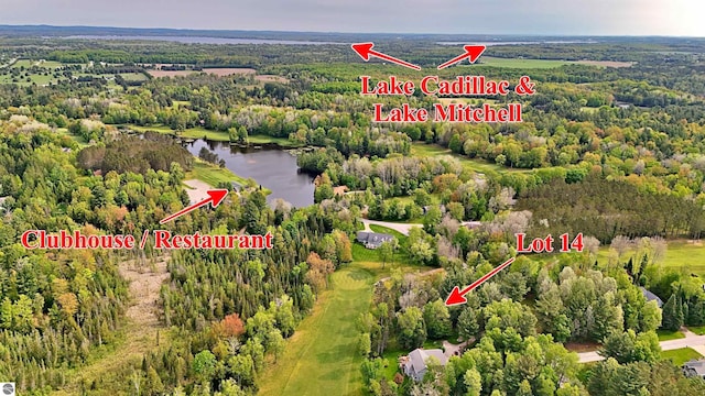 LOT14 White Pine Dr, Cadillac, MI 49601