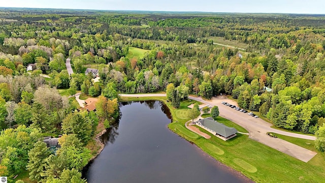 LOT14 White Pine Dr, Cadillac, MI 49601