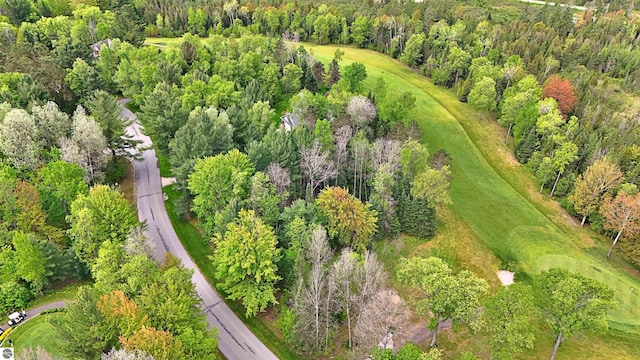 LOT14 White Pine Dr, Cadillac, MI 49601