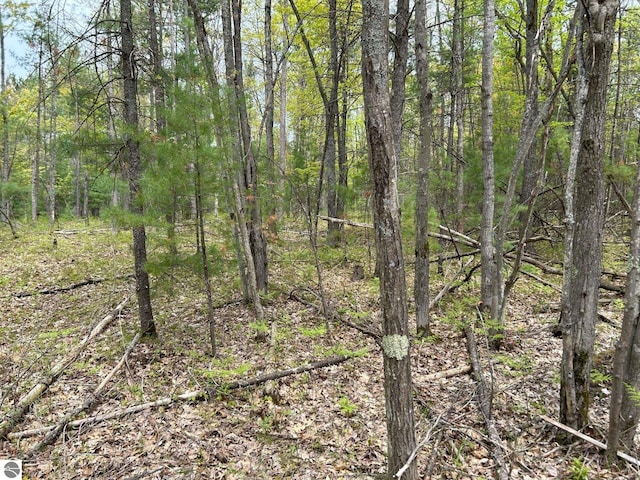 Muncie View Trl, Traverse City, MI 49696