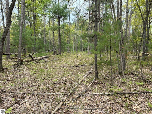 Muncie View Trl, Traverse City, MI 49696
