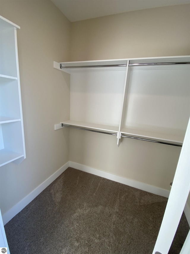 7559 E Meadows Dr Unit 52, Traverse City, MI 49621 - spacious closet with dark carpet
