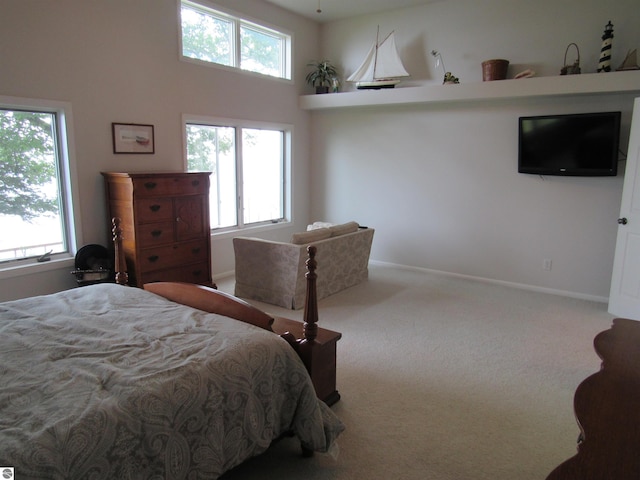 2011 Douglas Dr, Tawas City, MI 48763 - carpeted bedroom featuring baseboards and a towering ceiling