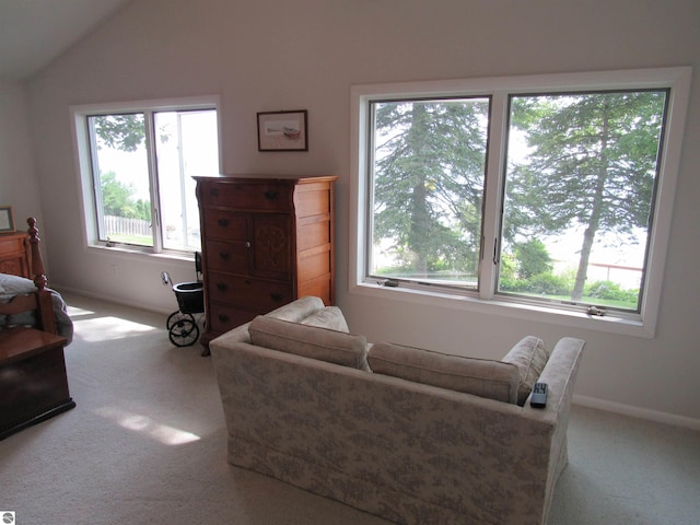 2011 Douglas Dr, Tawas City, MI 48763 - living room featuring carpet flooring, lofted ceiling, and baseboards