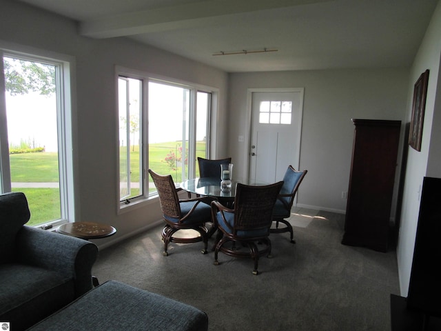 2011 Douglas Dr, Tawas City, MI 48763 - carpeted dining area with baseboards