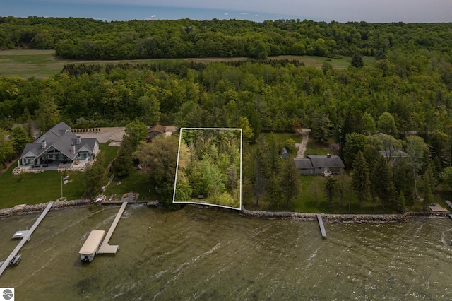 3228 S Skeba Rd S, Lake Leelanau, MI 49653 - aerial view of property and surrounding area featuring a heavily wooded area, property boundaries highlighted, and a nearby body of water