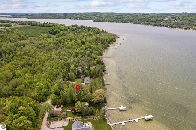 3228 S Skeba Rd S, Lake Leelanau, MI 49653 - aerial view of a heavily wooded area and a nearby body of water