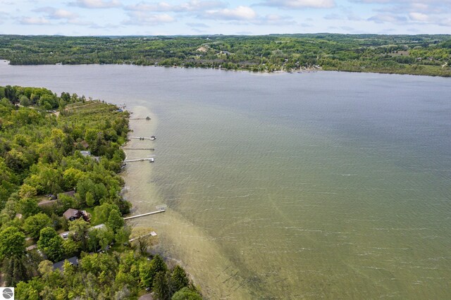 3228 S Skeba Rd S, Lake Leelanau, MI 49653 - bird's eye view of a nearby body of water and a forest