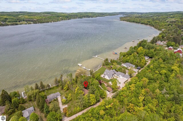 3228 S Skeba Rd S, Lake Leelanau, MI 49653 - aerial view of property's location featuring a nearby body of water and a heavily wooded area