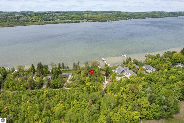 3228 S Skeba Rd S, Lake Leelanau, MI 49653 - bird's eye view of a nearby body of water and a heavily wooded area