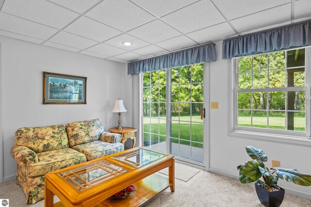 11103 S Ramblewood Dr, Cedar, MI 49621 - living room featuring carpet, plenty of natural light, a paneled ceiling, and baseboards
