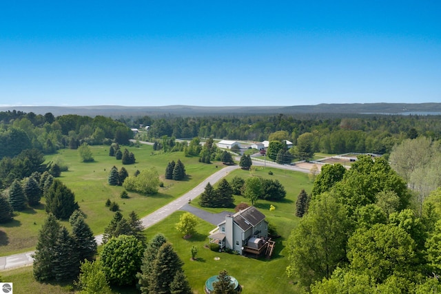 11103 S Ramblewood Dr, Cedar, MI 49621 - bird's eye view of a forest
