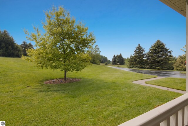 11103 S Ramblewood Dr, Cedar, MI 49621 - view of grassy yard