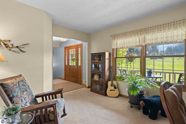 11103 S Ramblewood Dr, Cedar, MI 49621 - entryway with carpet and baseboards