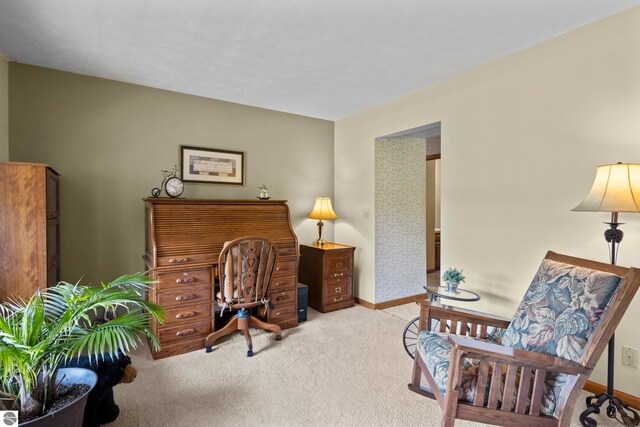 11103 S Ramblewood Dr, Cedar, MI 49621 - carpeted office space featuring baseboards