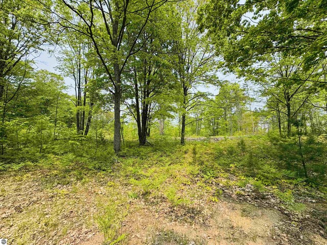 11711 E 22 3/4 Rd, Manton, MI 49663 - view of tree filled area
