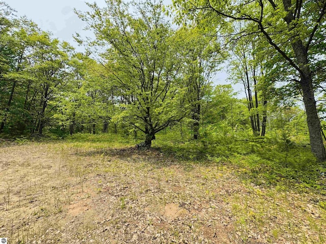 11711 E 22 3/4 Rd, Manton, MI 49663 - view of wooded area