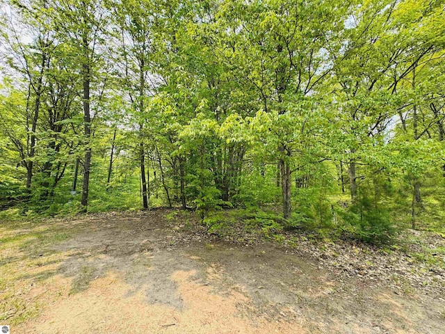 11711 E 22 3/4 Rd, Manton, MI 49663 - view of wooded area