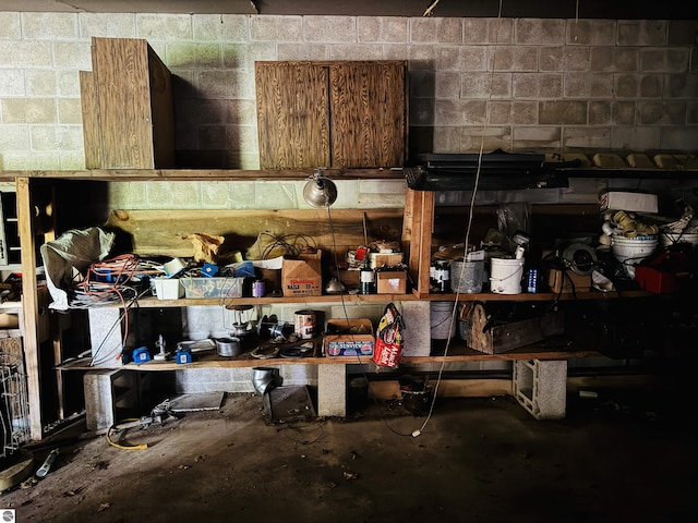 11711 E 22 3/4 Rd, Manton, MI 49663 - view of storage