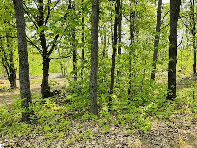 11711 E 22 3/4 Rd, Manton, MI 49663 - view of tree filled area