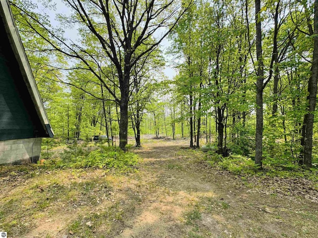 11711 E 22 3/4 Rd, Manton, MI 49663 - view of yard with a view of trees