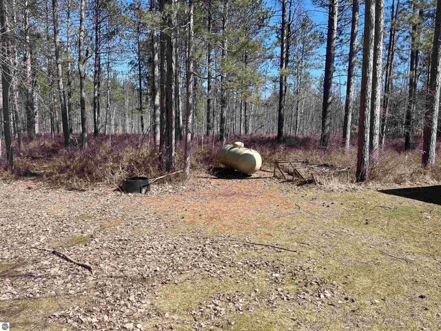 2168 S Lorenz Rd, Tawas City, MI 48763 - view of yard