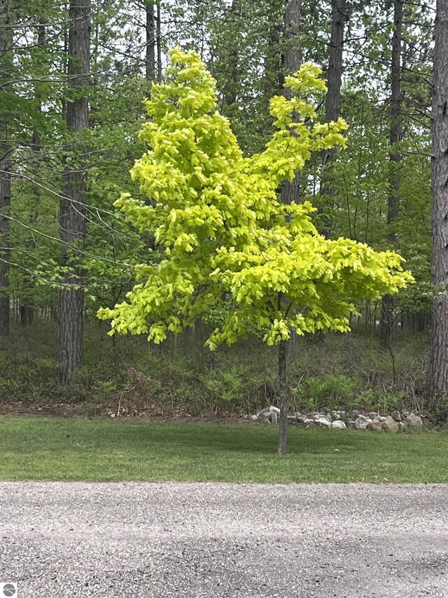 2168 S Lorenz Rd, Tawas City, MI 48763 - view of yard