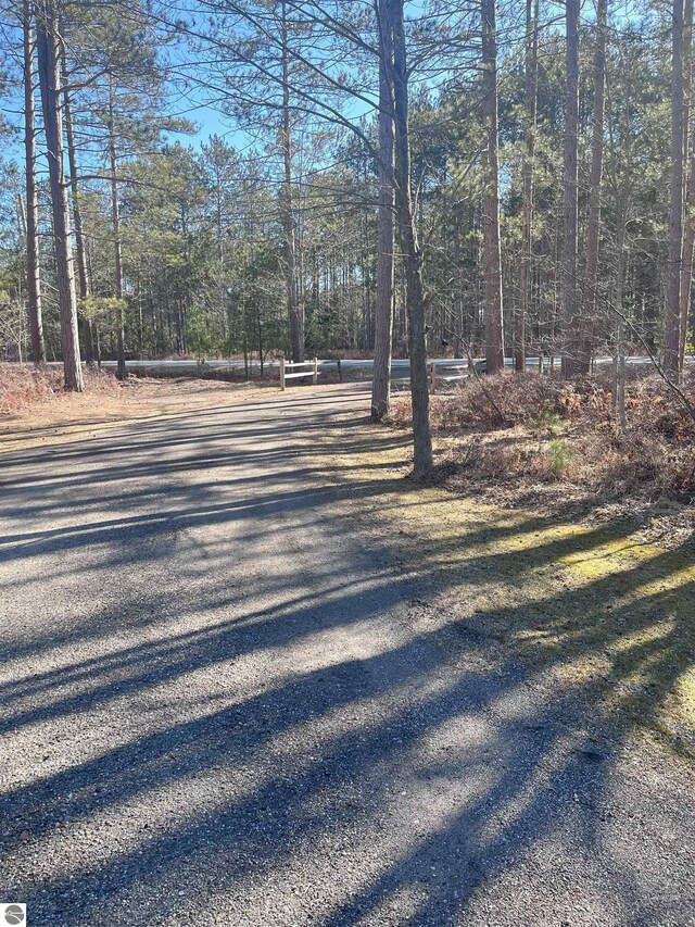 2168 S Lorenz Rd, Tawas City, MI 48763 - view of dirt / gravel road