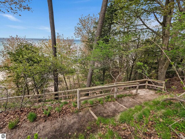 431 Michigan Ave, Charlevoix, MI 49720 - view of yard with a water view