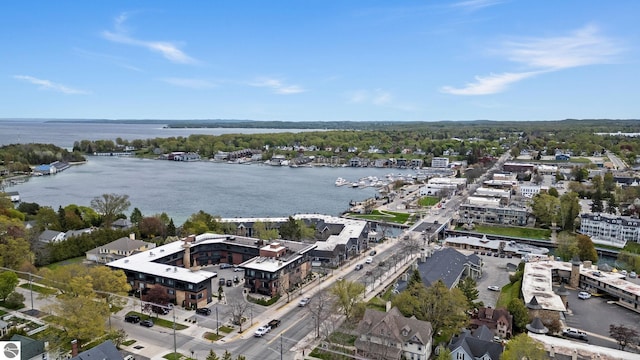 431 Michigan Ave, Charlevoix, MI 49720 - drone / aerial view of a large body of water
