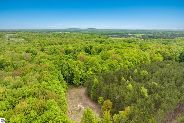 5840 Pratt Rd, Lake Ann, MI 49650