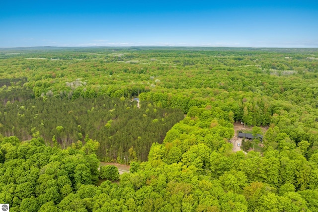 5840 Pratt Rd, Lake Ann, MI 49650