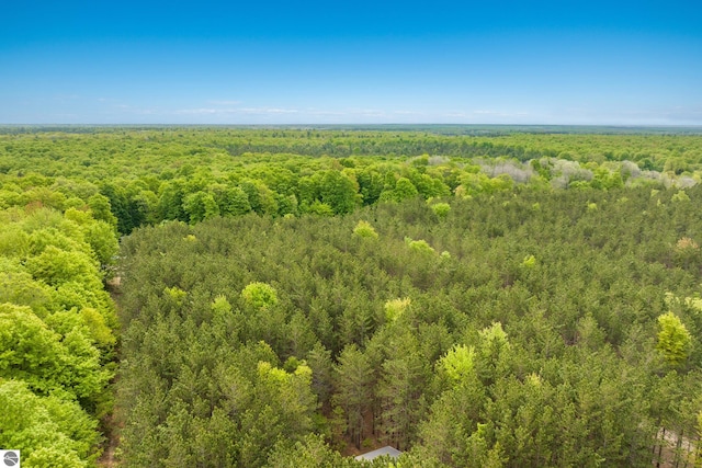 5840 Pratt Rd, Lake Ann, MI 49650