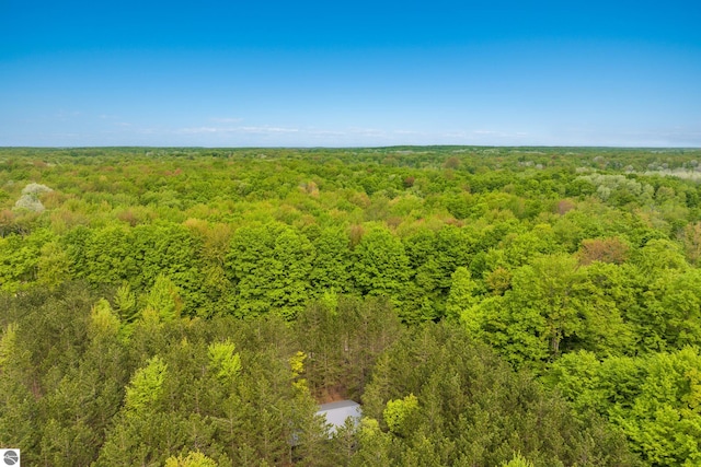 5840 Pratt Rd, Lake Ann, MI 49650