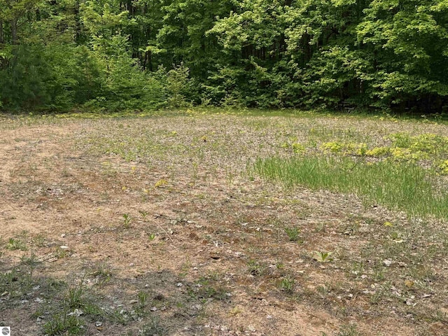 5840 Pratt Rd, Lake Ann, MI 49650