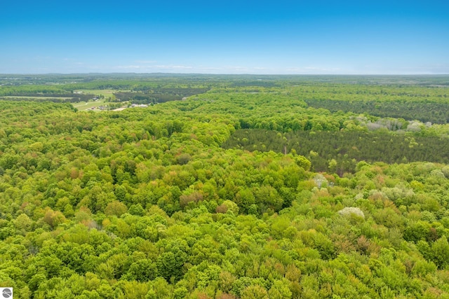 5840 Pratt Rd, Lake Ann, MI 49650