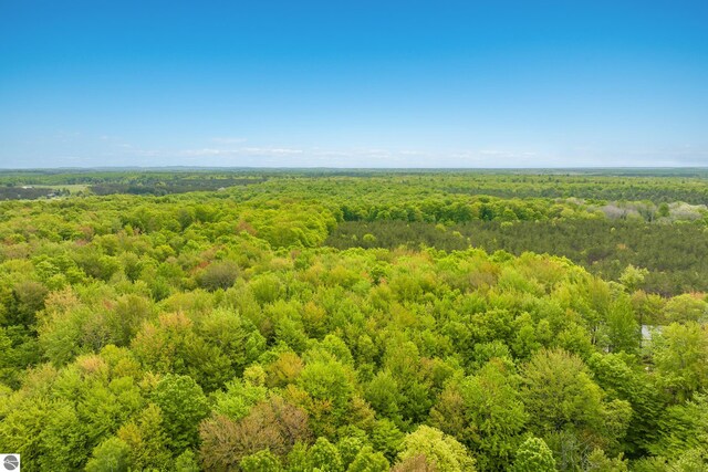 5840 Pratt Rd, Lake Ann, MI 49650
