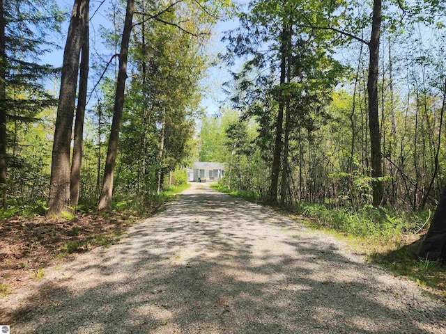 4775 W Cedar Lake Rd, Greenbush, MI 48738 - view of dirt / gravel driveway featuring a view of trees